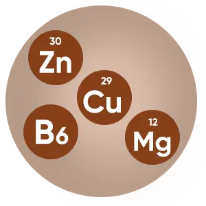 The four minerals