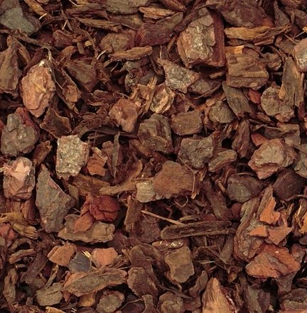 Pine bark