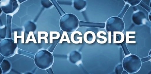 &ldquo;HARPAGOSIDE&rdquo;