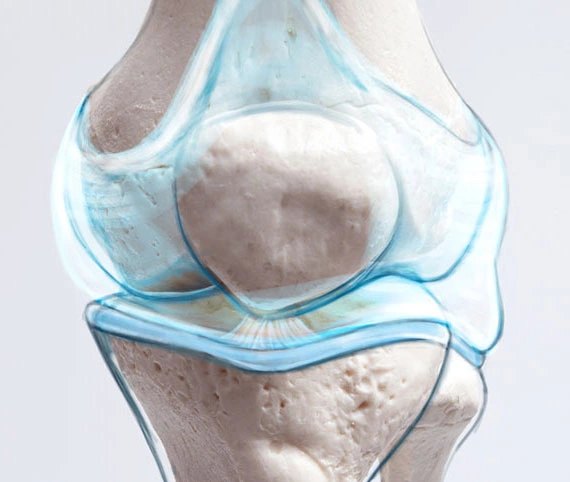 Bone texture, cropped for phones