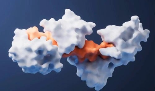 An enzyme, rendered